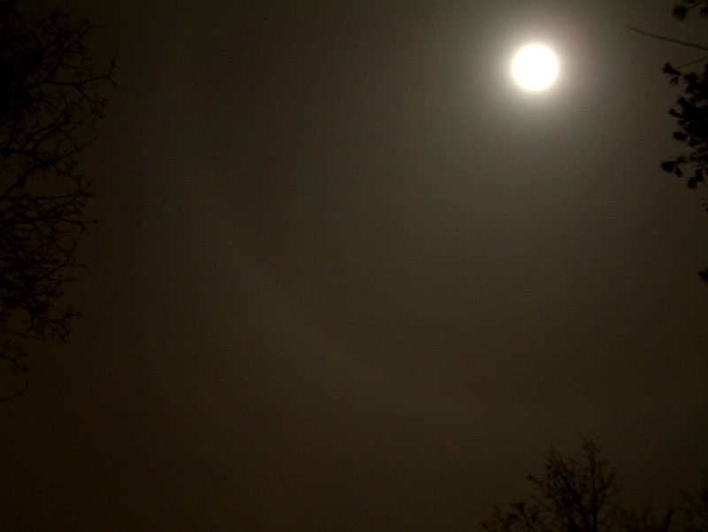 moonhalo