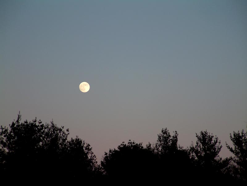 moonrise
