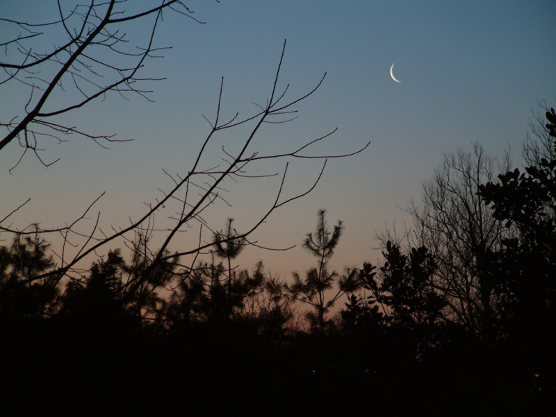moonrise1