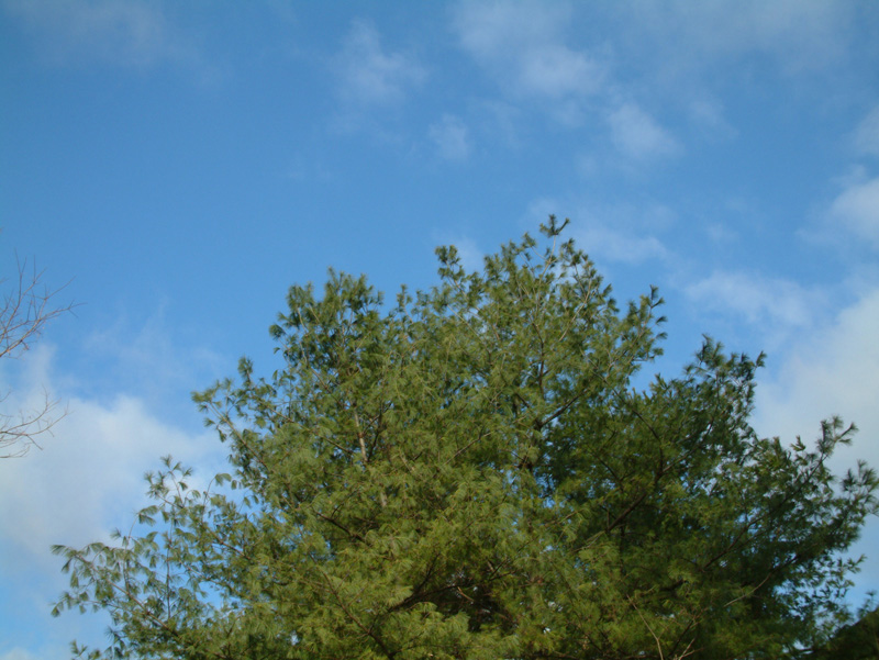 3lookup